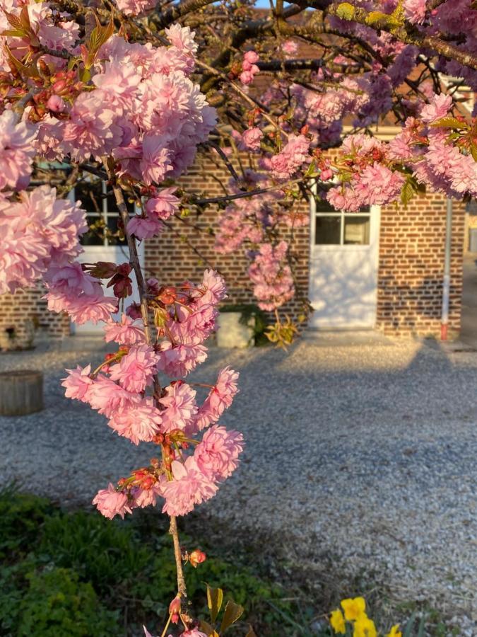 Le Domaine Des Saules Villa Richebourg  Kültér fotó